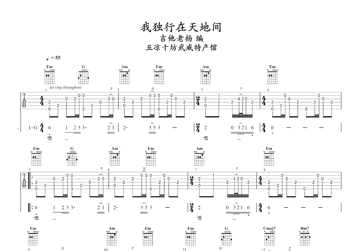 我独行在天地间吉他谱预览图