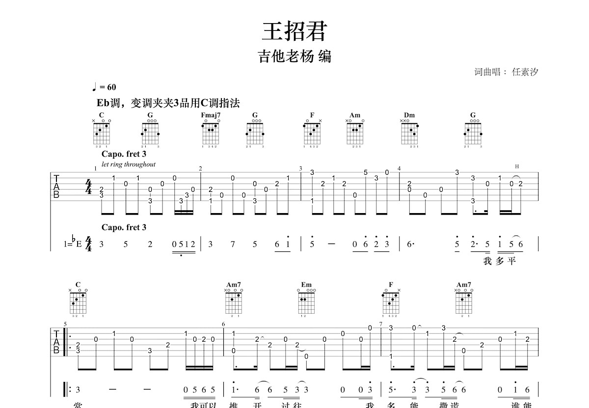 王招君吉他谱预览图