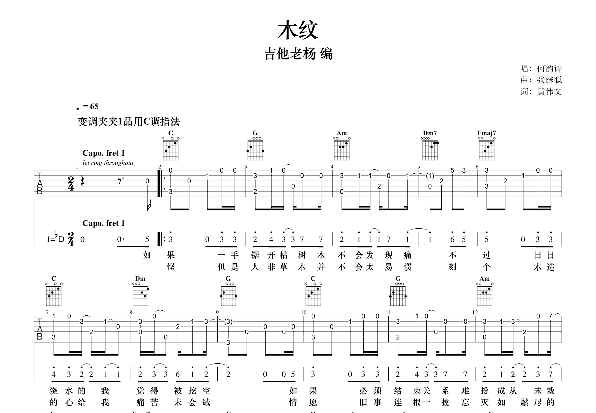 木纹吉他谱_何韵诗_C调指弹