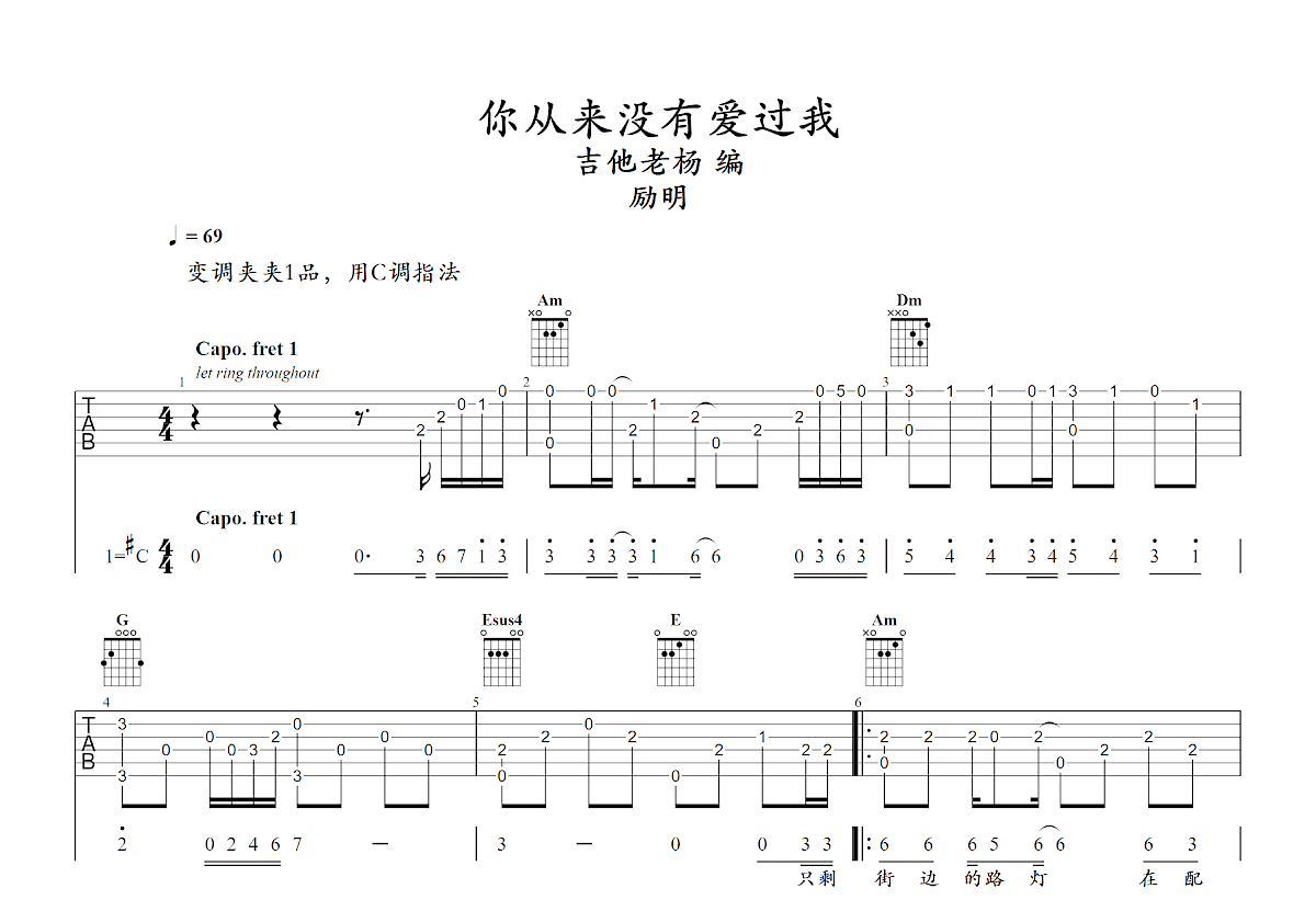 你从来没有爱过我吉他谱预览图