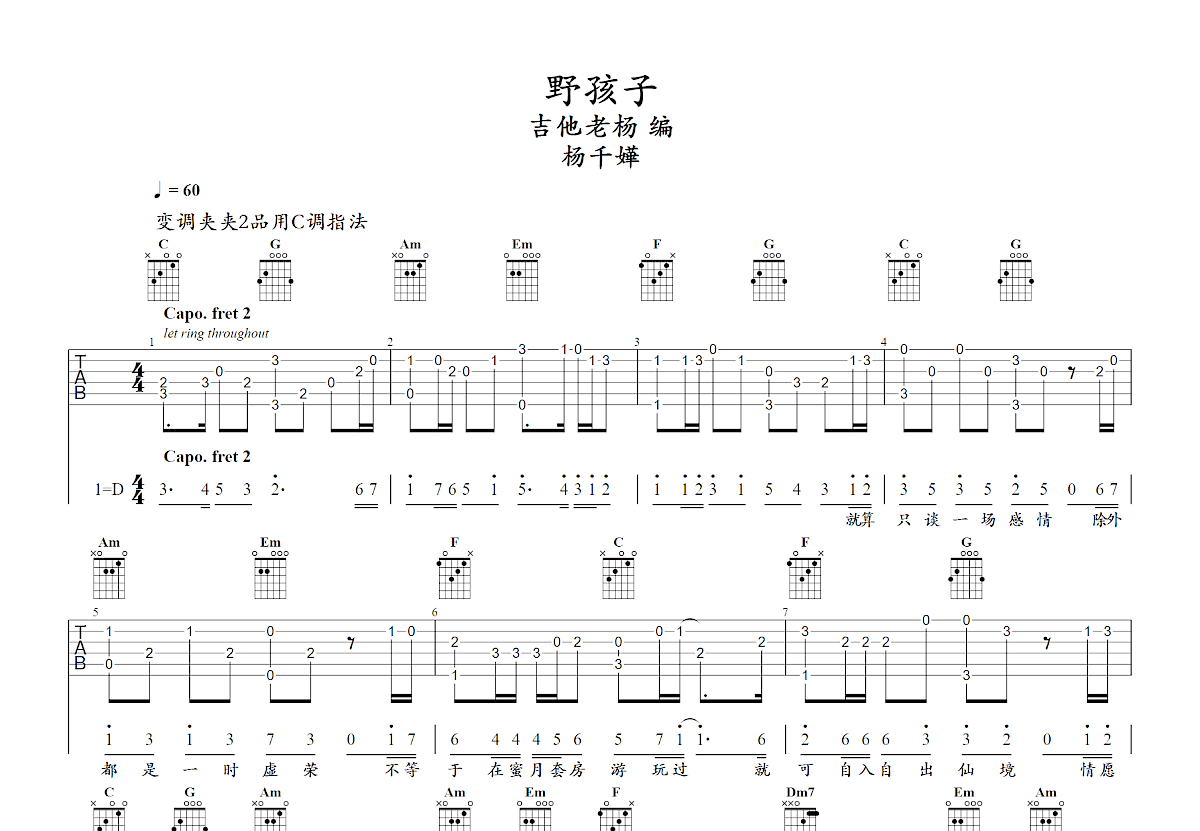 野孩子吉他谱预览图