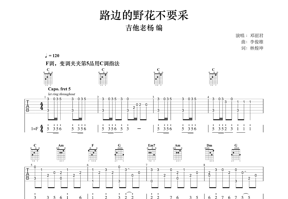 路边的野花不要采吉他谱预览图