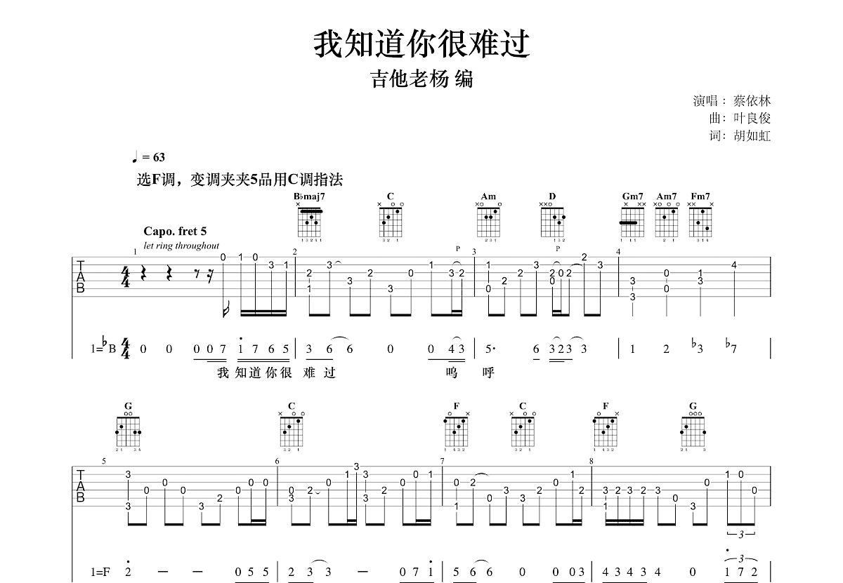 我知道你很难过吉他谱预览图