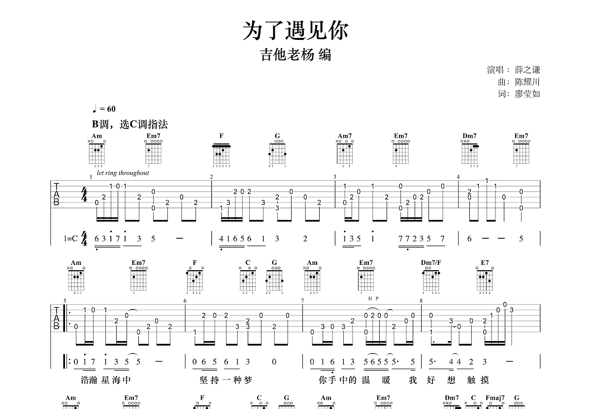 为了遇见你吉他谱预览图