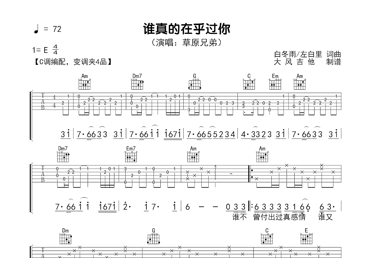 谁真的在乎过你吉他谱预览图