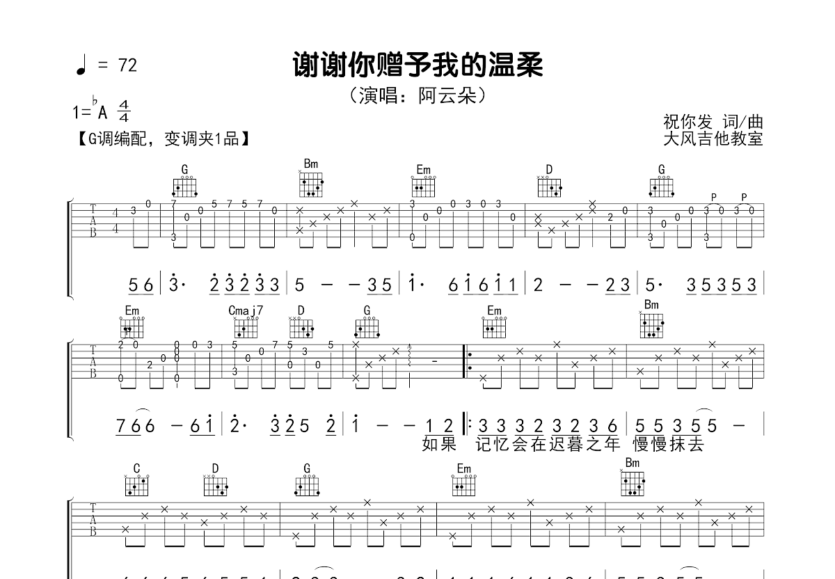 谢谢你赠予我的温柔吉他谱预览图