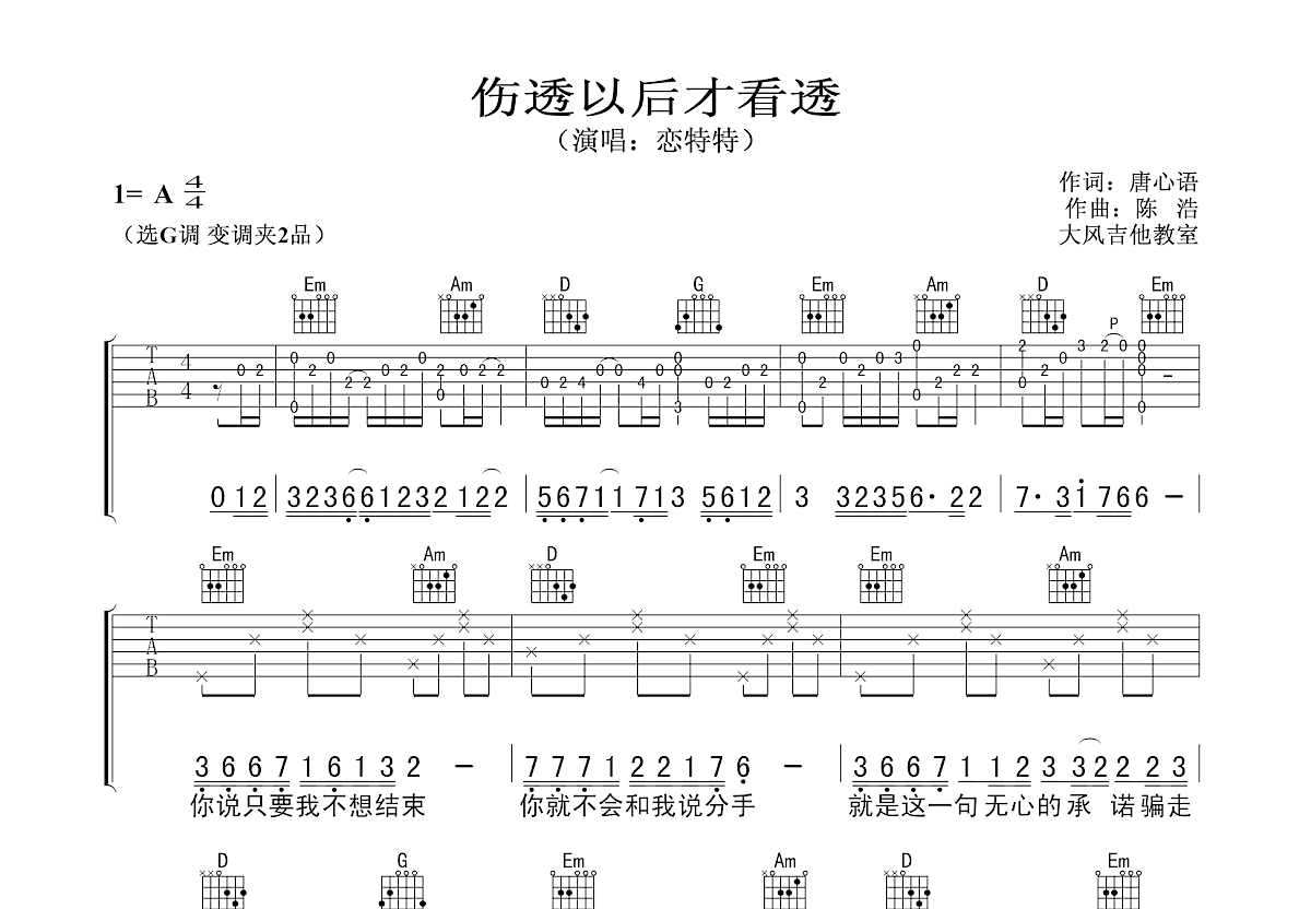 伤透以后才看透吉他谱预览图