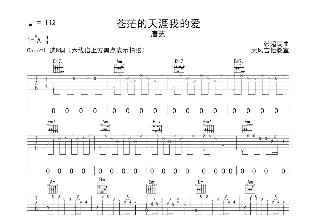 苍茫的天涯我的爱吉他谱预览图