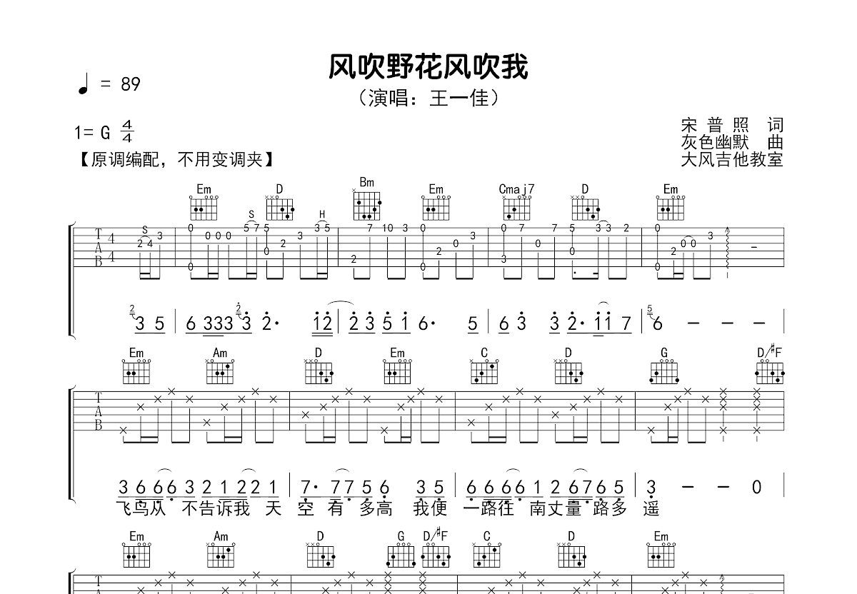 风吹野花风吹我吉他谱预览图