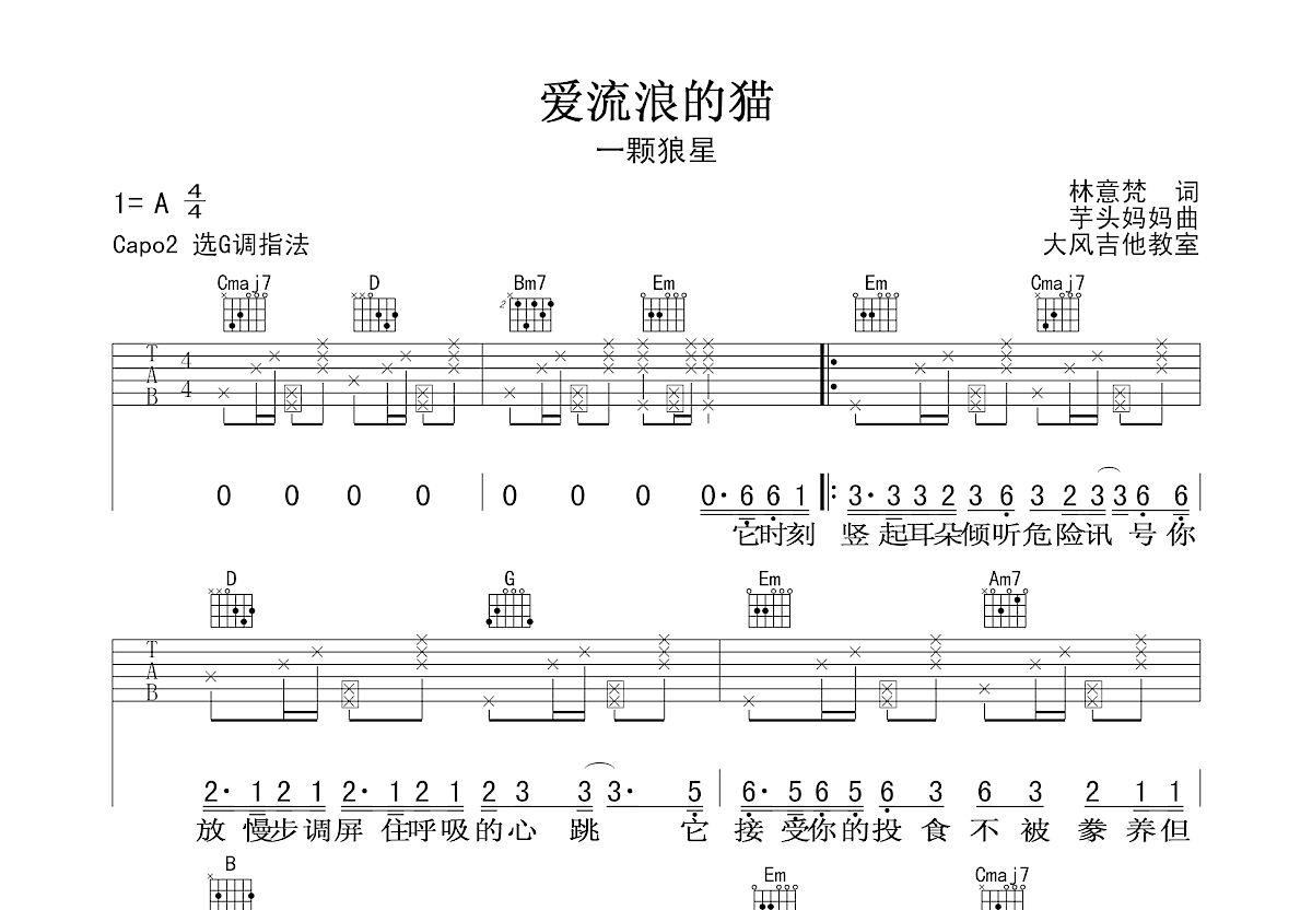 爱流浪的猫吉他谱预览图