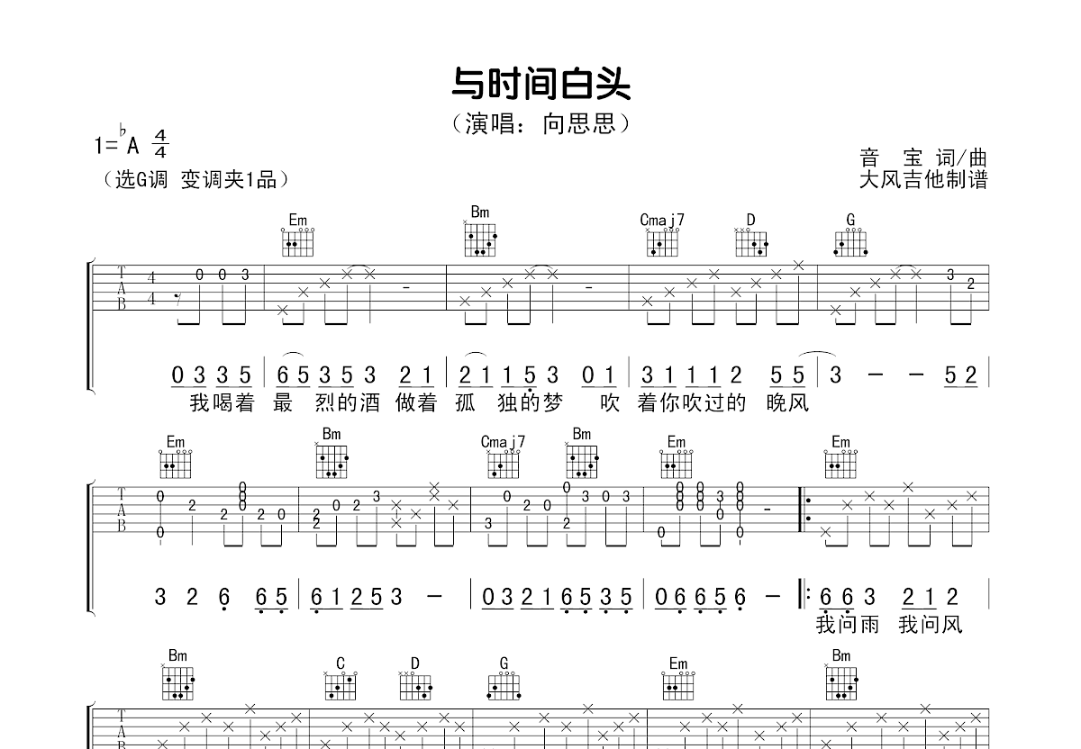 与时间白头吉他谱预览图