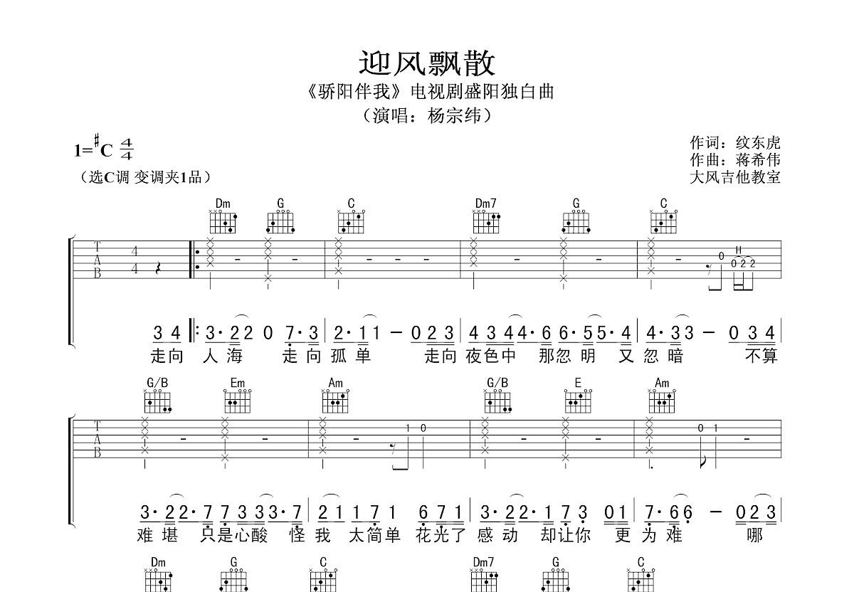 迎风飘散吉他谱预览图