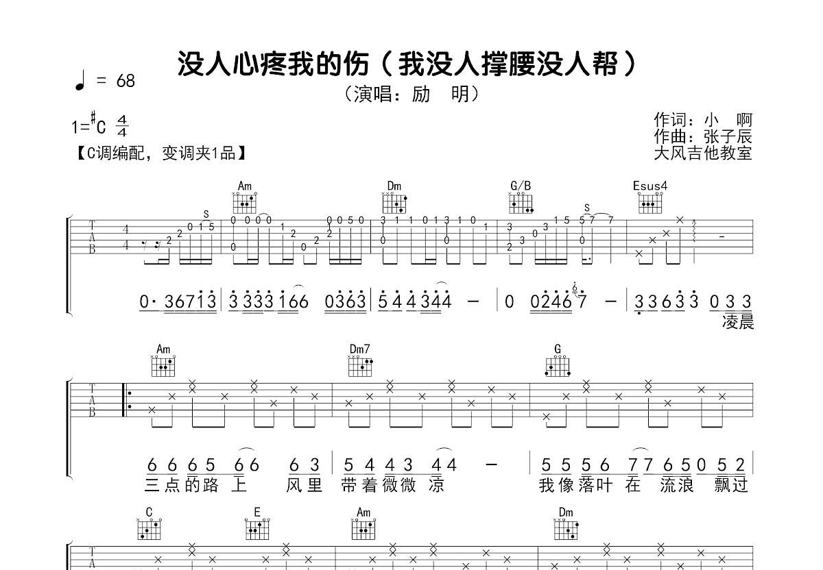 没人心疼我的伤吉他谱预览图