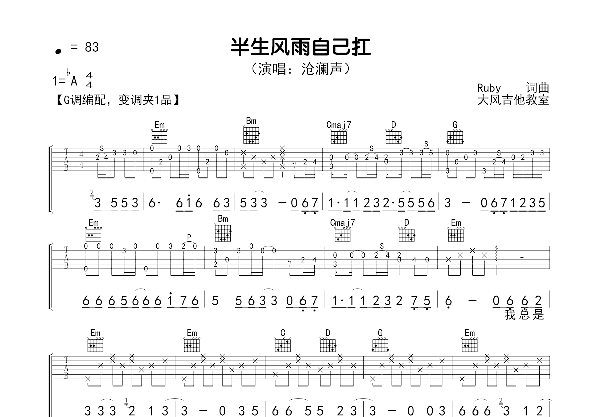 半生风雨自己扛吉他谱预览图