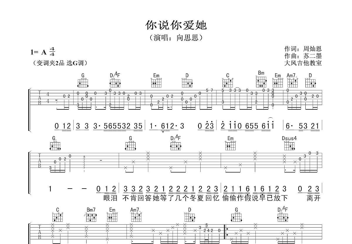 你说你爱她吉他谱预览图