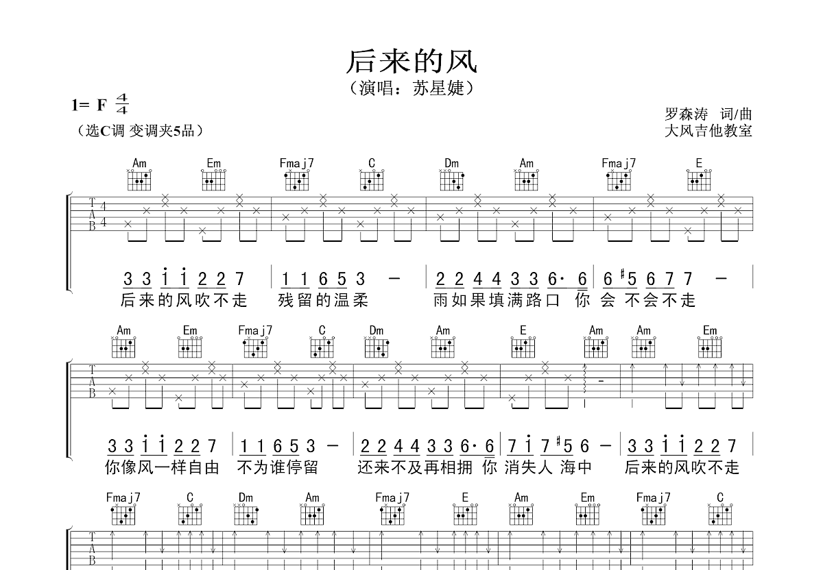 后来的风吉他谱预览图