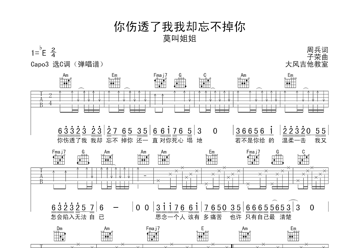 你伤透了我我却忘不掉你吉他谱预览图