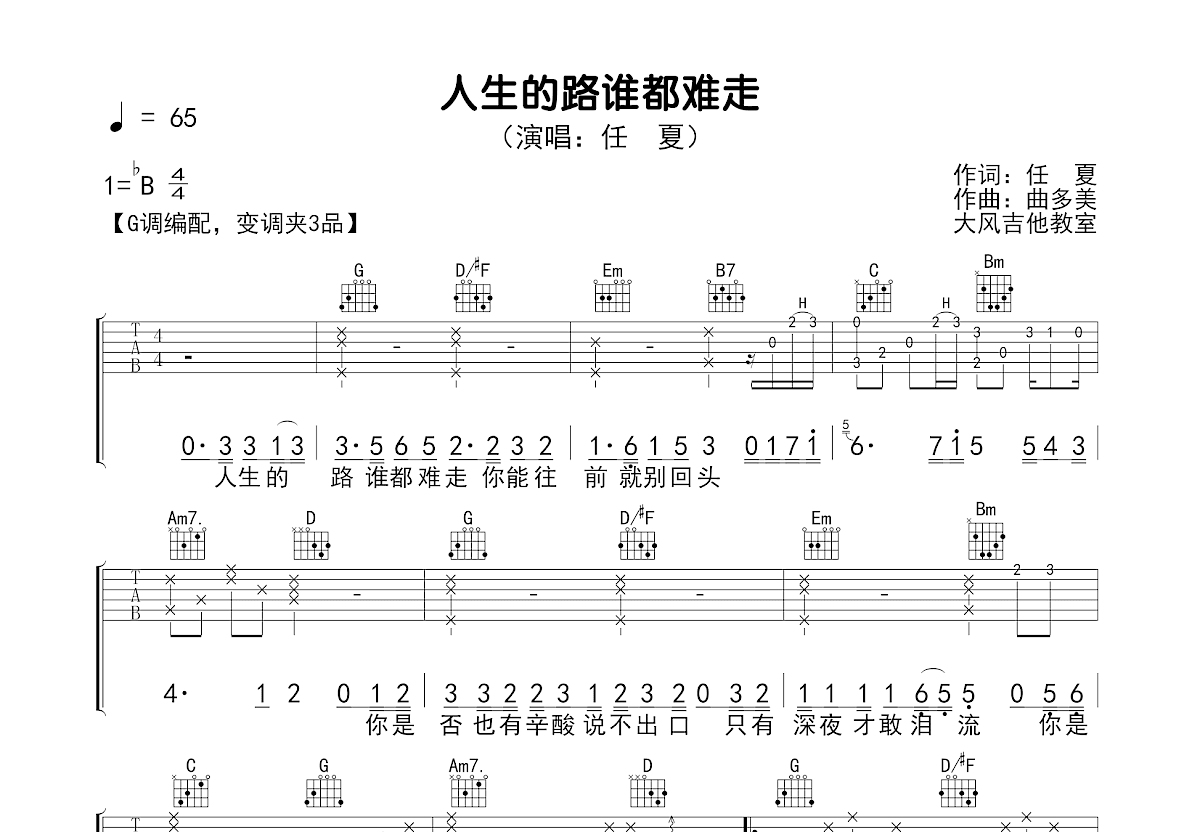 人生的路谁都难走吉他谱预览图