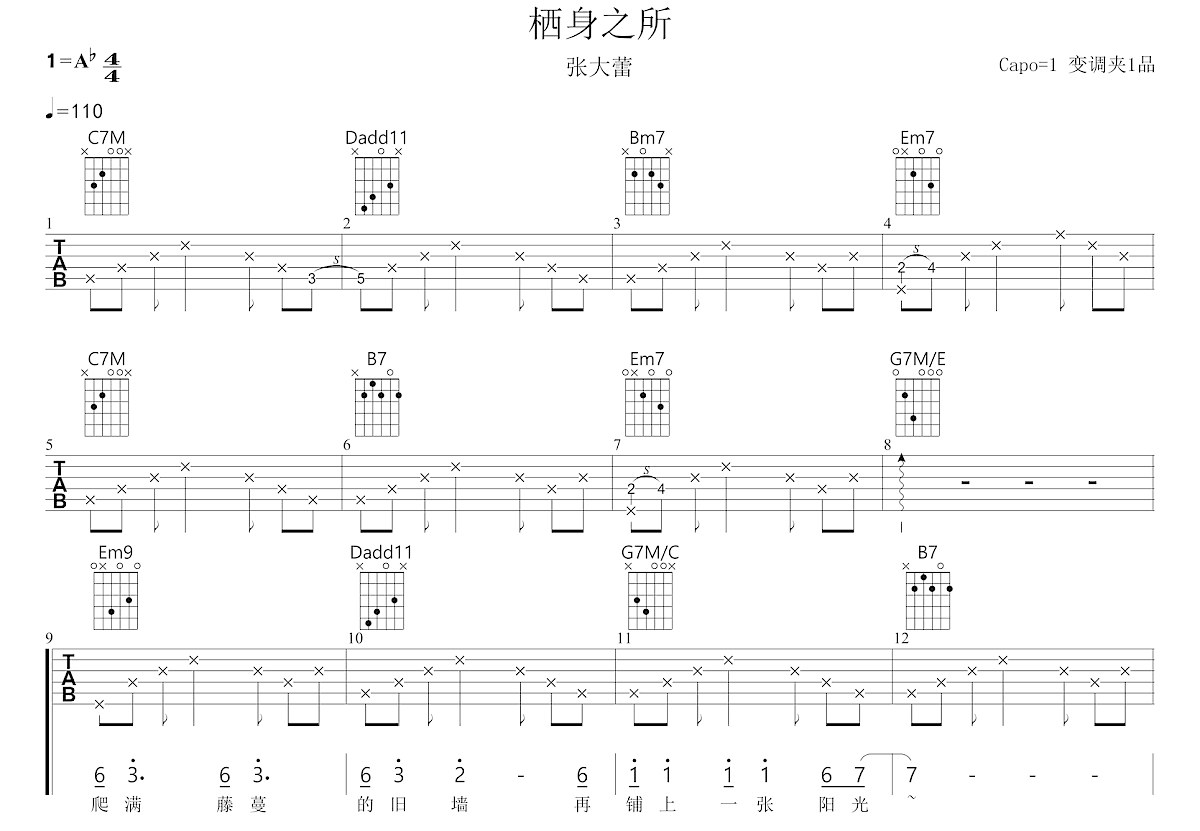 栖身之所吉他谱预览图