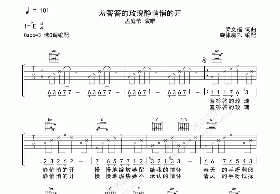 羞答答的玫瑰静悄悄的开吉他谱预览图