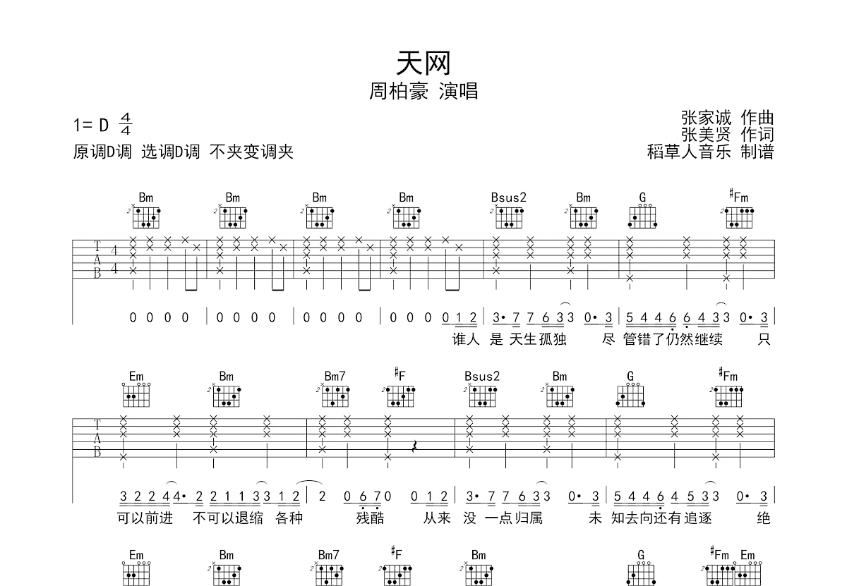 天网吉他谱预览图
