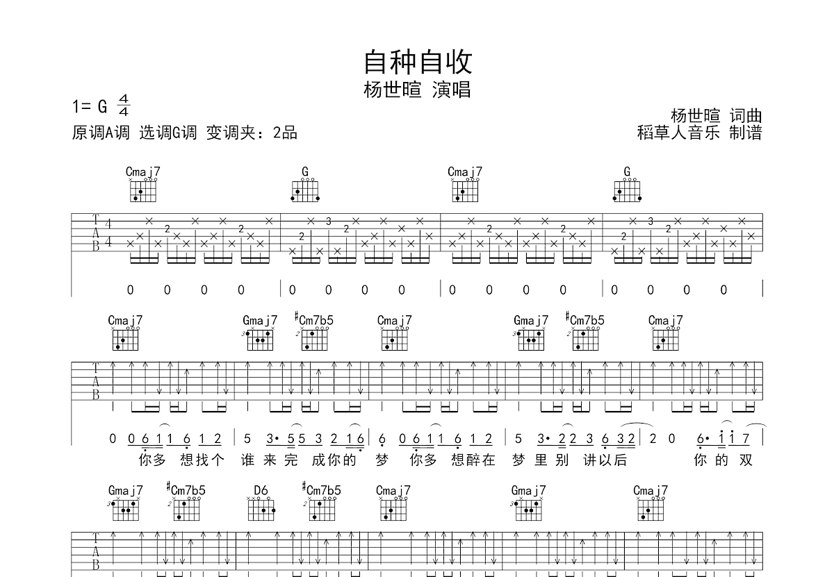 自种自收吉他谱预览图