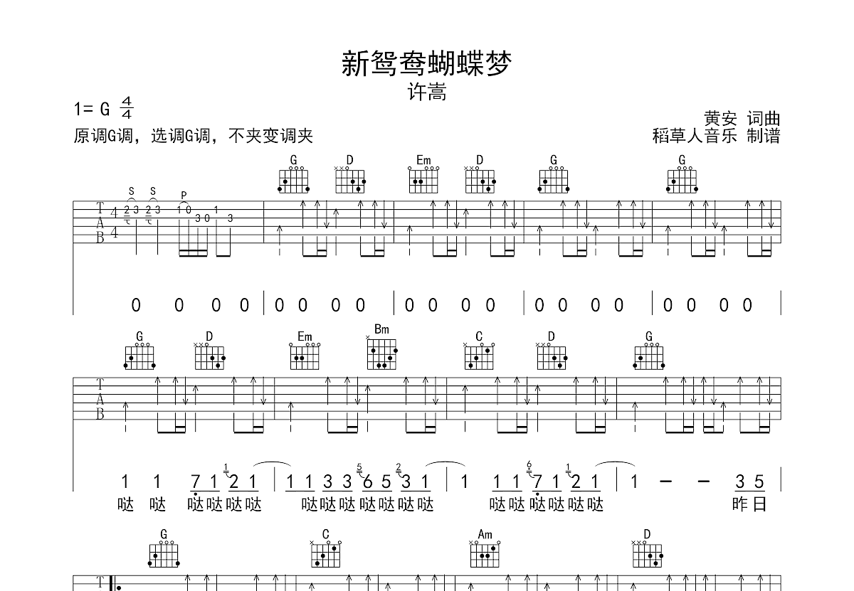 新鸳鸯蝴蝶梦吉他谱预览图