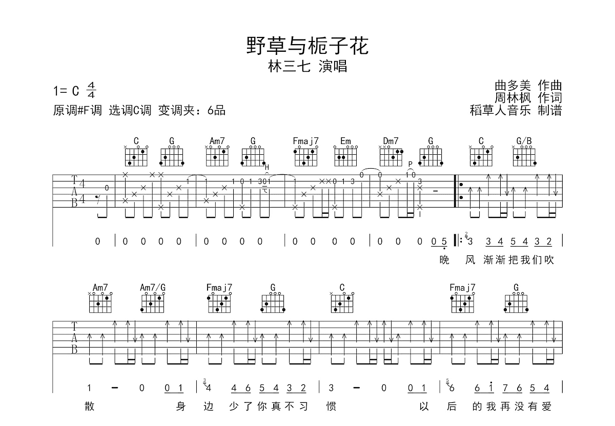 野草与栀子花吉他谱预览图