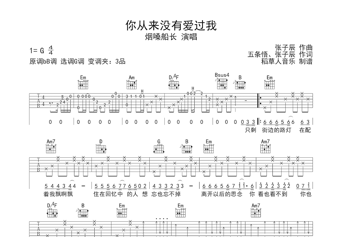 你从来没有爱过我吉他谱预览图