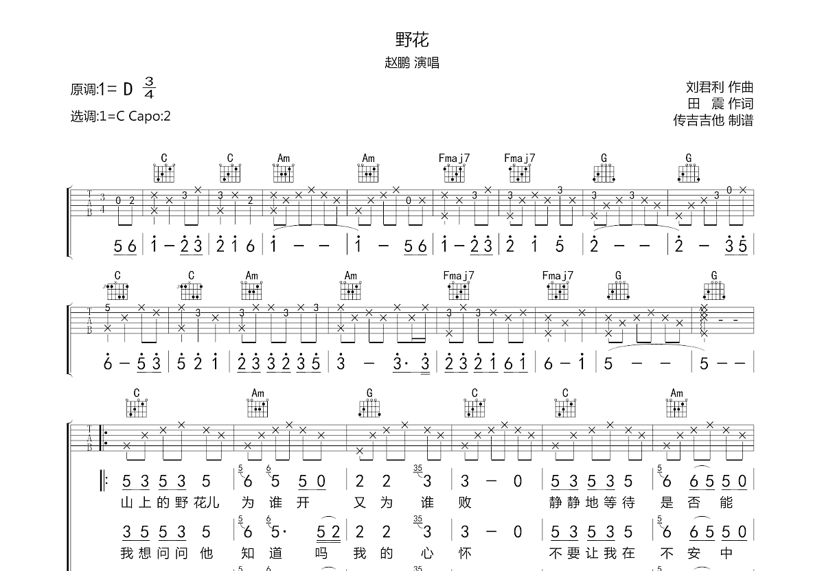 野花吉他谱预览图