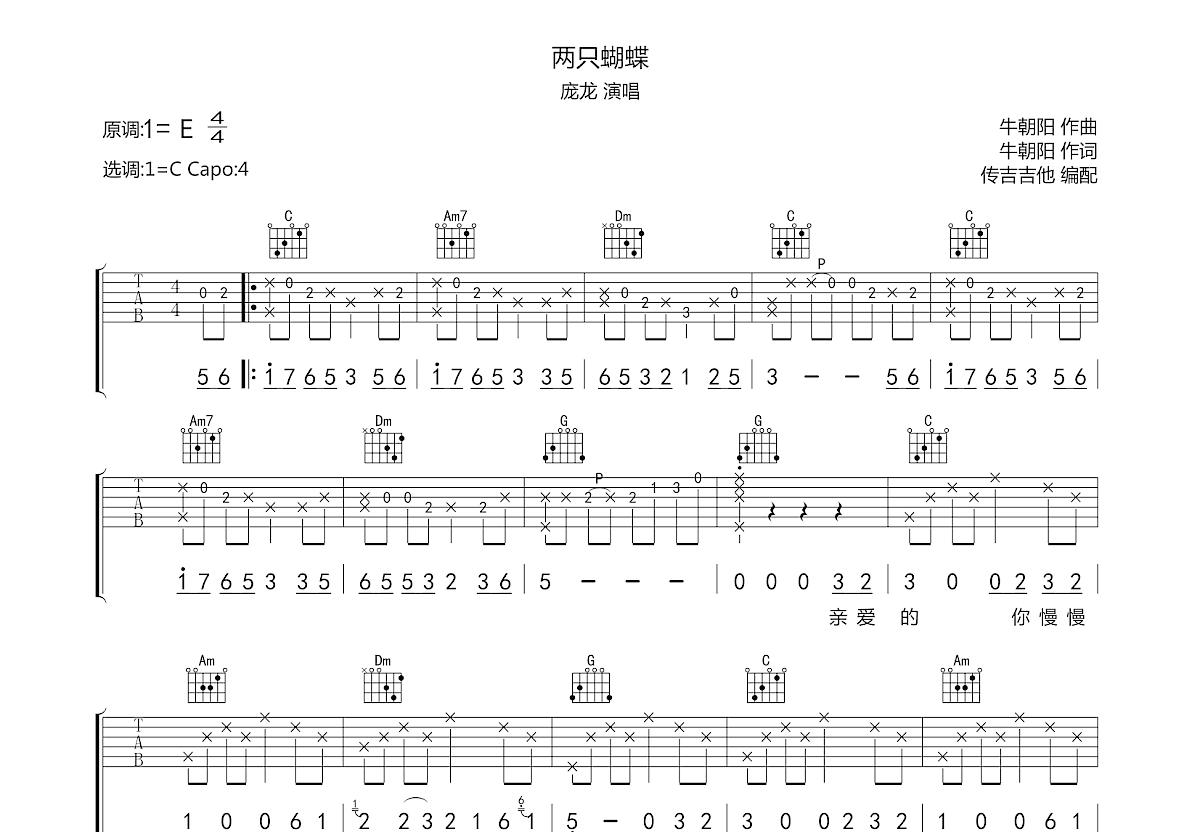 两只蝴蝶吉他谱预览图