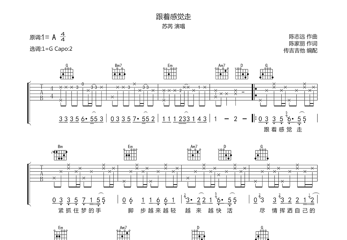 跟着感觉走吉他谱预览图