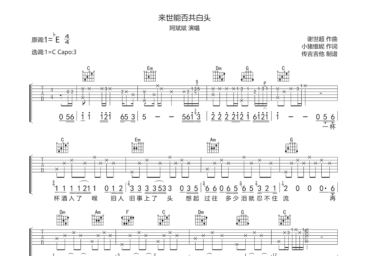 来世能否共白头吉他谱预览图