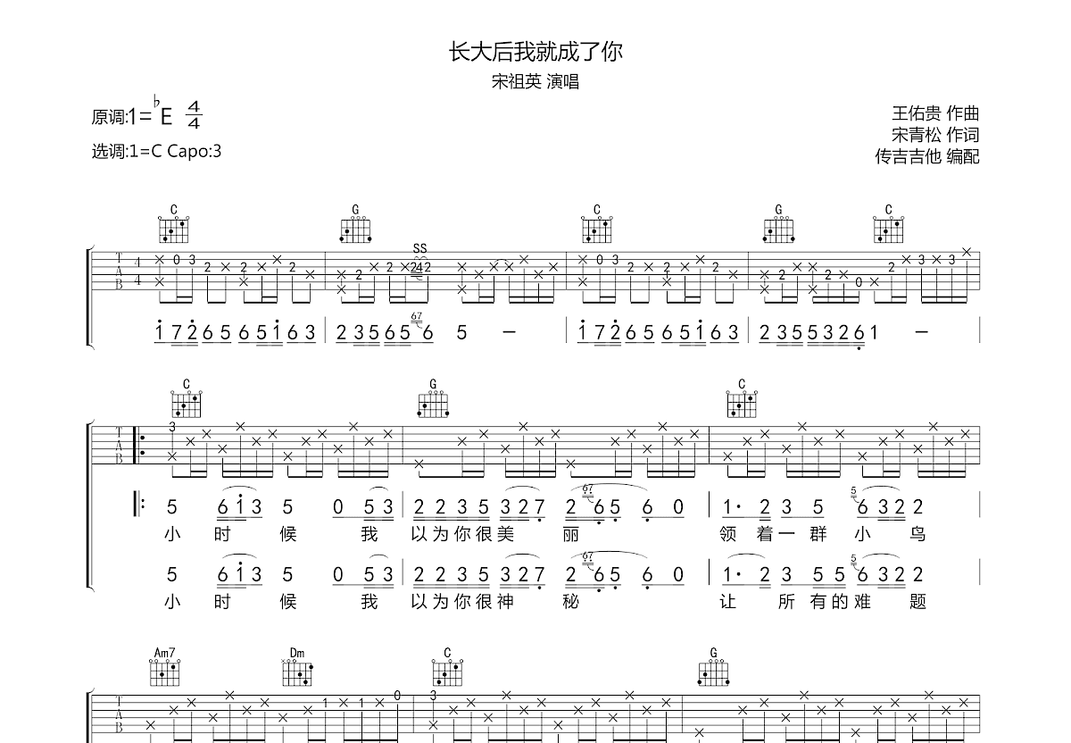 长大后我就成了你吉他谱预览图