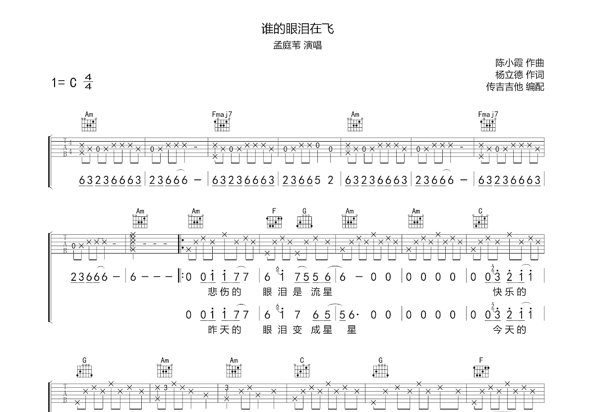 谁的眼泪在飞吉他谱预览图