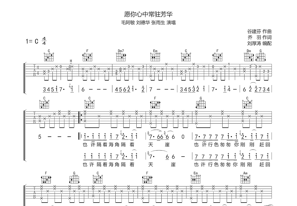 愿你心中常驻芳华吉他谱预览图