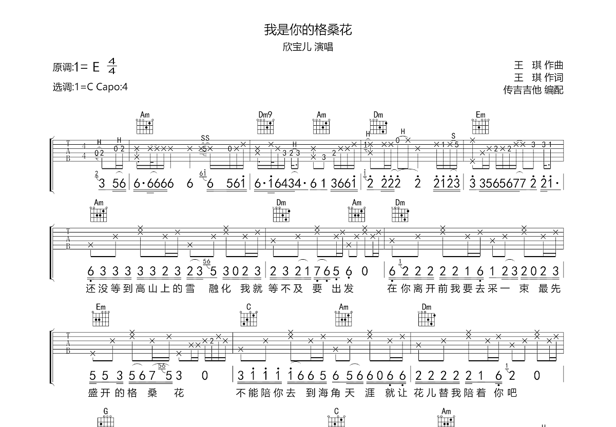 我是你的格桑花吉他谱预览图