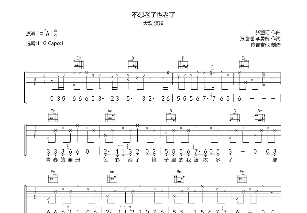 不想老了也老了吉他谱预览图