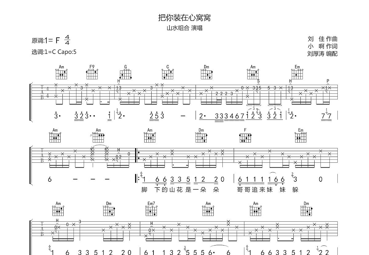 把你装在心窝窝吉他谱预览图