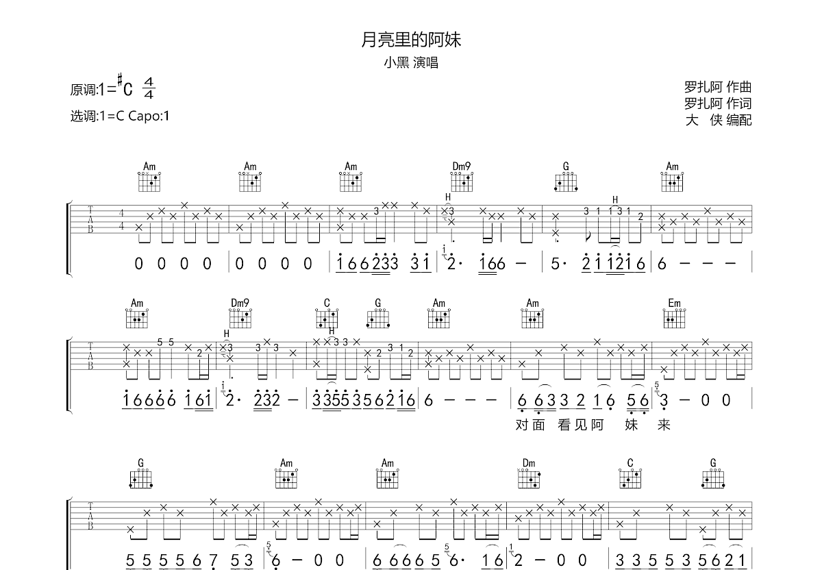 月亮里的阿妹吉他谱预览图