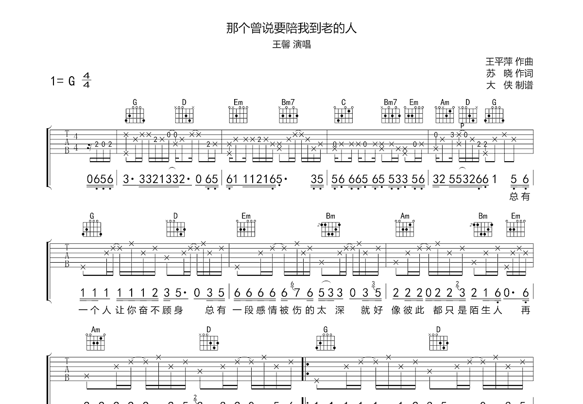 那个曾说要陪我到老的人吉他谱预览图