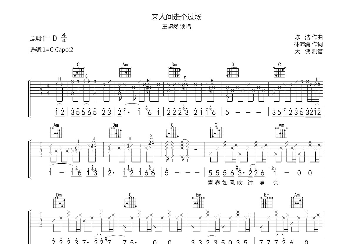 来人间走个过场吉他谱预览图