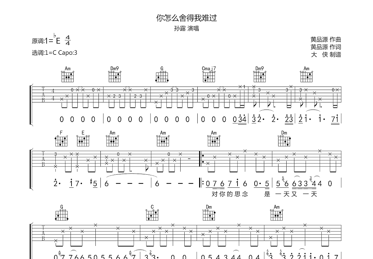 你怎么舍得我难过吉他谱预览图