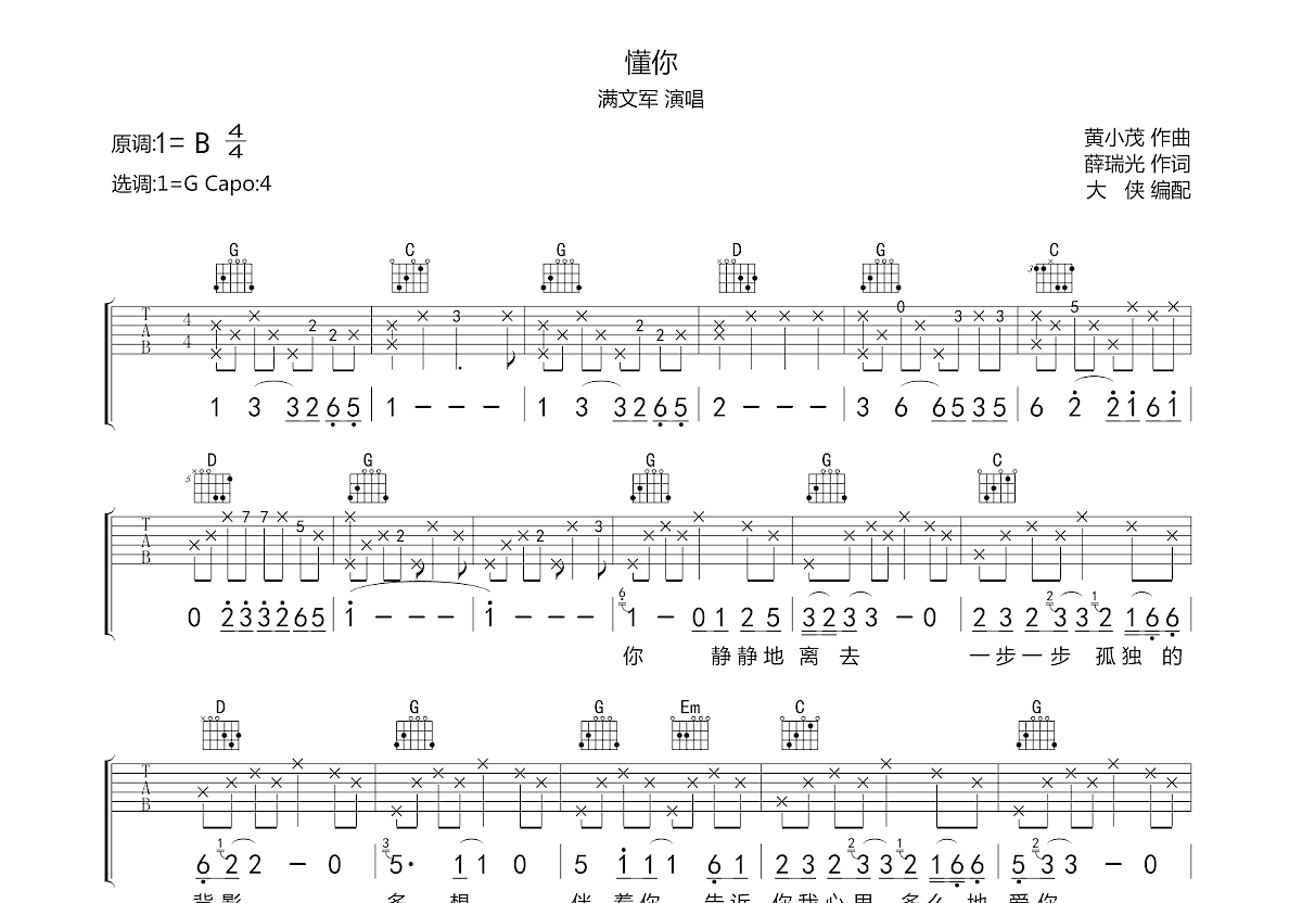 懂你吉他谱预览图