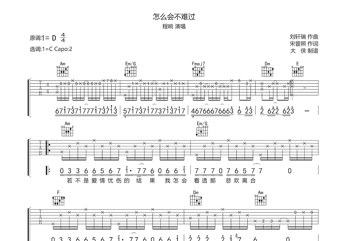 怎么会不难过吉他谱预览图