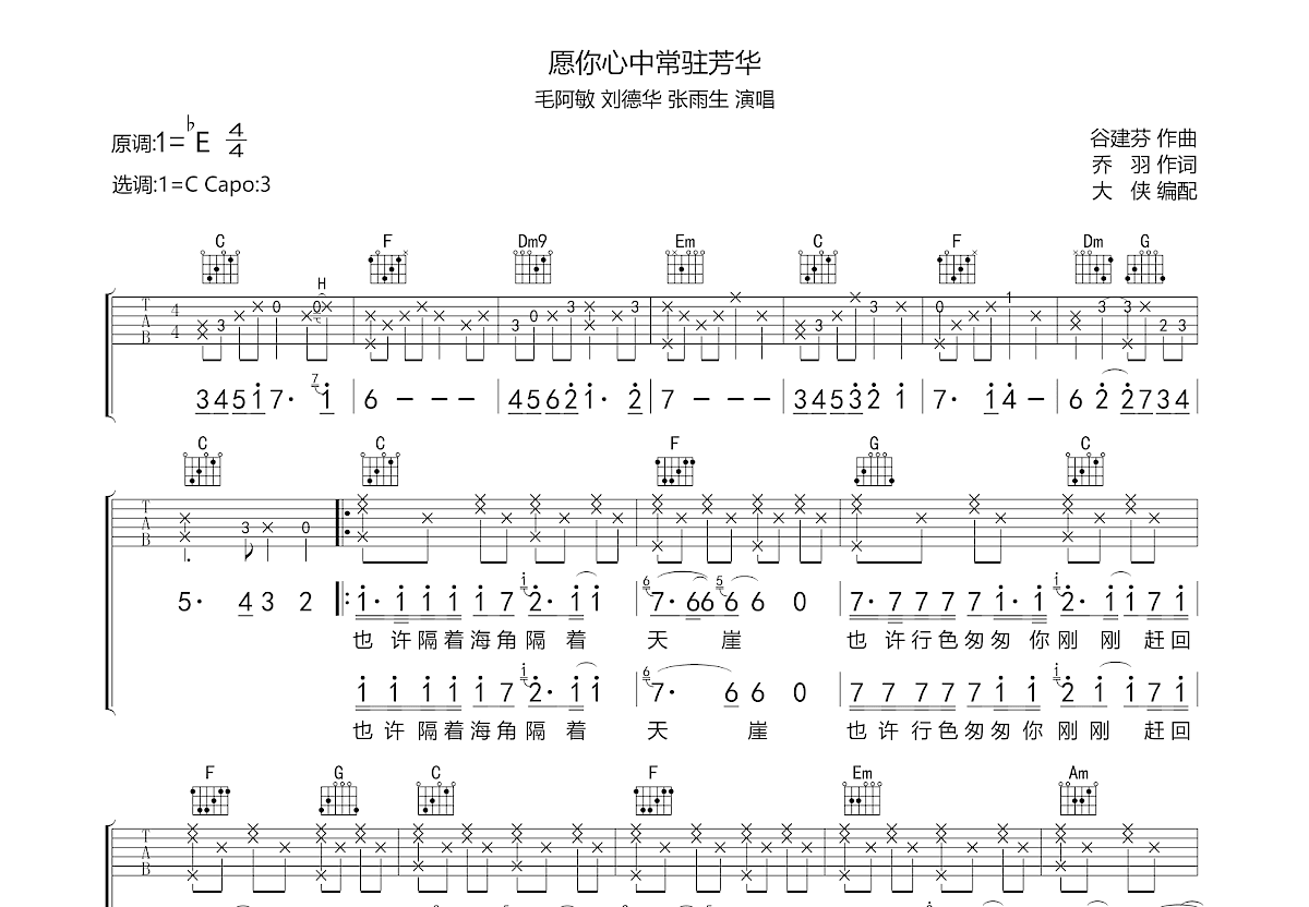 愿你心中常驻芳华吉他谱预览图