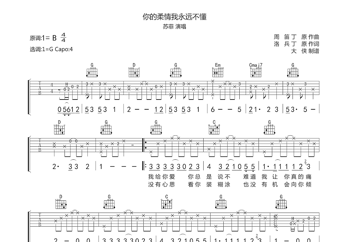 你的柔情我永远不懂吉他谱预览图