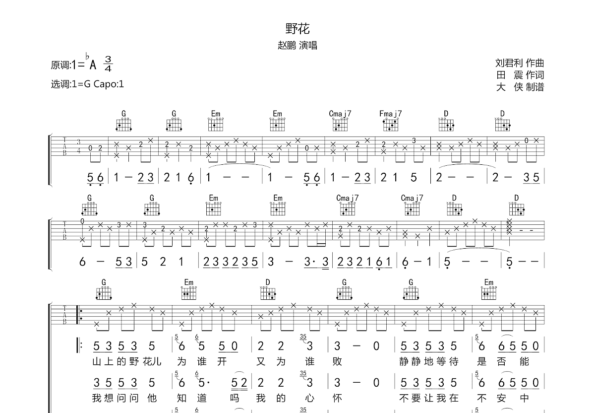 野花吉他谱预览图