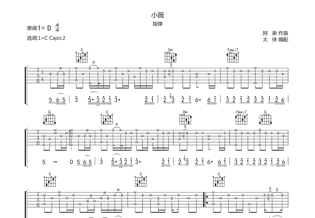 小薇（指弹）吉他谱预览图