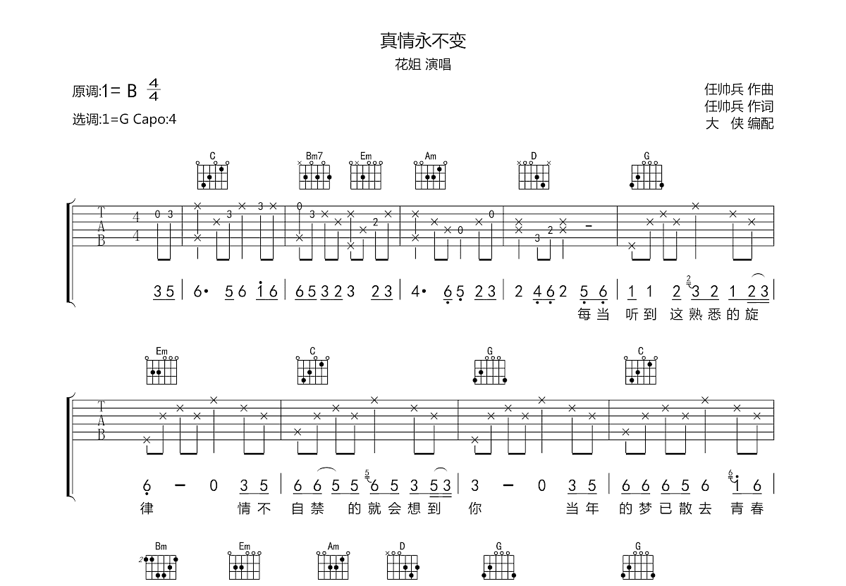 真情永不变吉他谱预览图